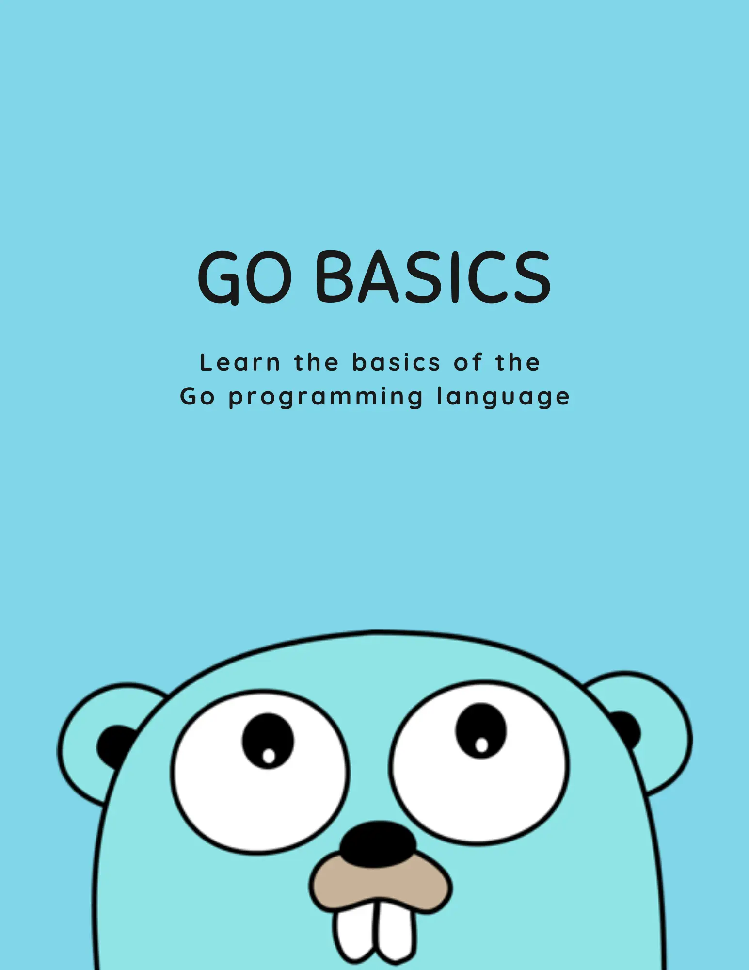 Go Basics Book